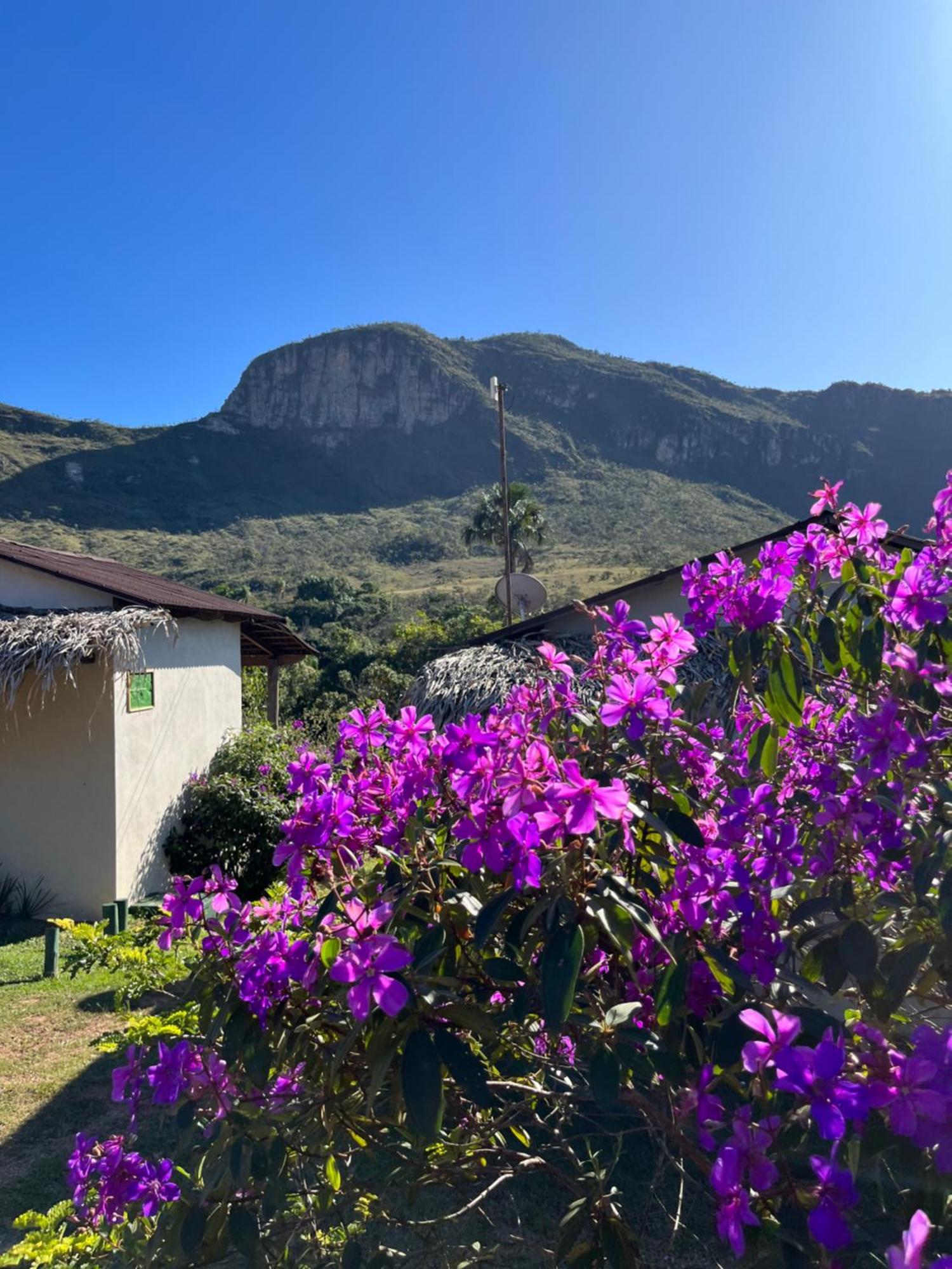 Pousada Rancho dos Ipês Alto Paraíso de Goiás Exterior foto